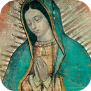 Virgen De Guadalupe Ojos APK