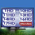 Football live new 2