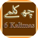 6 Kalma (چھ کلمے) with Urdu Translation APK