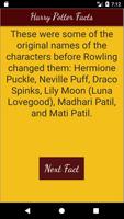 Facts & Trivia - Harry Potter plakat