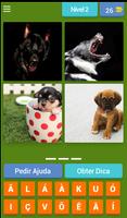 4 Fotos 1 Animal 截圖 2