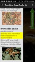 Sunshine Coast Snake ID capture d'écran 1