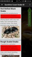 Sunshine Coast Snake ID screenshot 2