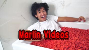 Marlin Videos Affiche