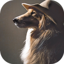 Elegent Dog-Real Fingerprint APK