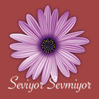 Seviyor Sevmiyor आइकन