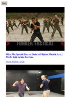 Arts martiaux philippins capture d'écran 2