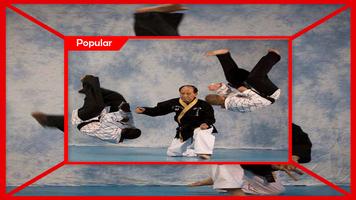 Hapkido Techniques syot layar 3