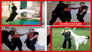 Hapkido Techniques syot layar 2