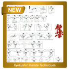 Kyokushin Karate Techniques icône