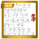Techniki karate Kyokushin aplikacja