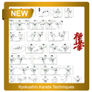 Kyokushin Karate Techniques APK