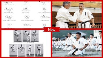 Kyokushin Karate Techniques Affiche