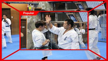 Kyokushin Karate Techniques capture d'écran 3