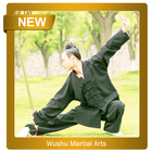 Wushu Martial Arts ikon