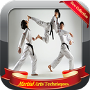 580 + Martial Arts Techniques APK