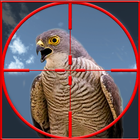 Taloor Hunting icon