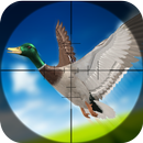 Duck Hunting Season 3D APK