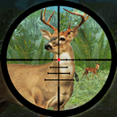 chasse forêt de cerfs APK