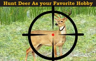 Forest Deer Hunting پوسٹر