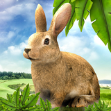 Temporada de caza de conejo icono