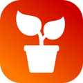 House Plants Dictionary