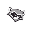 Face Swap: Raccoon APK