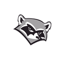 APK Face Swap: Raccoon