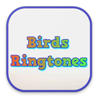 Birds Ringtones أيقونة