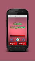 Birds Ringtones โปสเตอร์