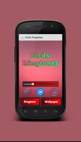 Birds Ringtones ภาพหน้าจอ 1