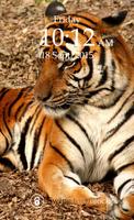 Tiger Keypad Screen Lock Skin اسکرین شاٹ 2