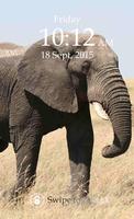 Elephant Keypad Screen Lock Poster