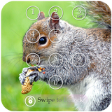 Squirrel Keypad Lock Screen Zeichen