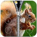APK Squirrel Zipper Lock