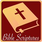 Daily Bible Scriptures icône