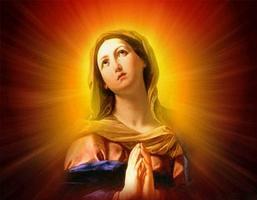 New Virgin Mary PF Ekran Görüntüsü 2