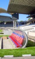 Stade de Gerland Wallpapers Plakat