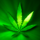 Marijuana Live Wallpaper - Green Leaf FREE APK