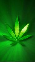 Marijuana Live Wallpaper ポスター