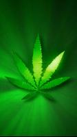 Marijuana Live Wallpaper постер