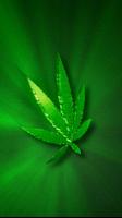 Marijuana Live Wallpaper screenshot 1