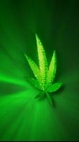 Marijuana Live Wallpaper captura de pantalla 2