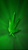 Marijuana Live Wallpaper captura de pantalla 3