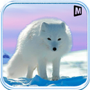 Arctic fox simulator 3d APK