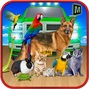 pet driving transporte animais APK