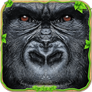 ultime simulateur de clan de gorille APK