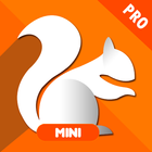 Pro UC Mini Browser Guide icône