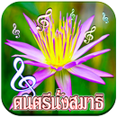 APK Meditation Natural songs