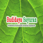 Hortikultura Budidaya Sayuran icône